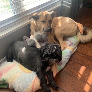 Meet your Posher, Kayra